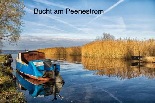 a boat sitting on the shore of a lake at Ferienhaus Oogenstern -ruhige Lage- in Zirchow