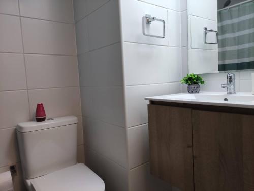 La salle de bains blanche est pourvue de toilettes et d'un lavabo. dans l'établissement ¡Comodísimo y práctico depto!, à Santiago