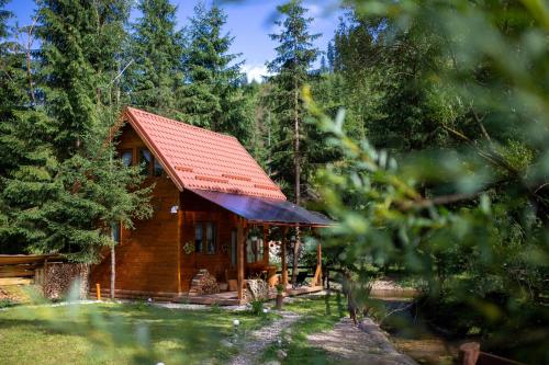Κήπος έξω από το Pura Vida Forest Home