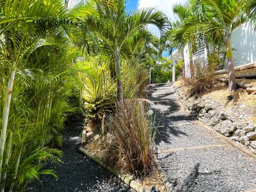 a row of palm trees on a gravel road at Résidence Ti Gwapabe, proche raisins clairs in Saint-François