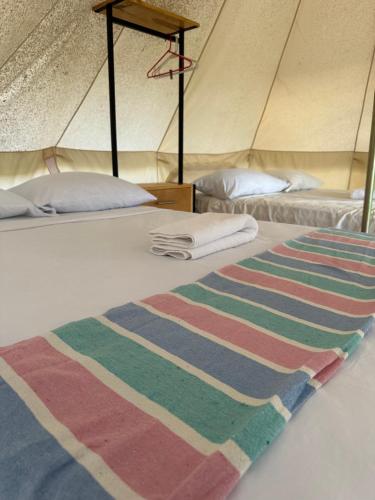 Luigi's Glamping – Photos 3