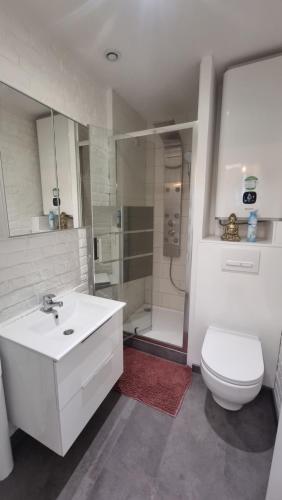 une salle de bain avec un lavabo, des toilettes et une douche dans l'établissement OFFRE SPECIALE Joli T2 COEUR de Lille, à Lille