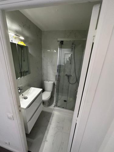 une salle de bain avec une douche, des toilettes et un lavabo dans l'établissement Magnifique appartement, à Cannes