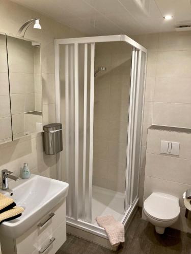 a bathroom with a shower and a toilet and a sink at Haus Reimann in Altenau