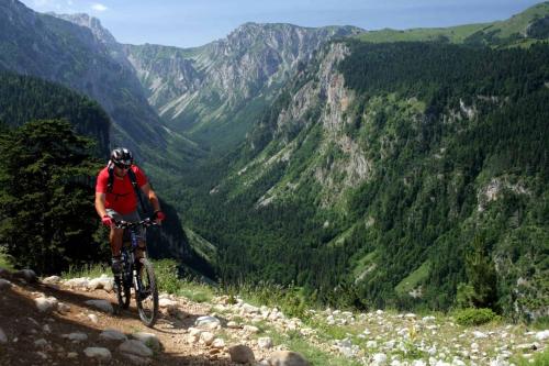 a man riding a bike on a mountain trail at Forest Panorama Cabin Brezna in Pluzine