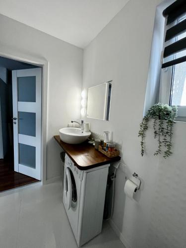 La salle de bains est pourvue d'un lavabo et d'un lave-linge. dans l'établissement Apartament Pod Kamienną Górą XII, à Gdynia