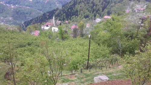 uma vista para uma colina com árvores e uma aldeia em Çaykara Dağ Evi em Çaykara