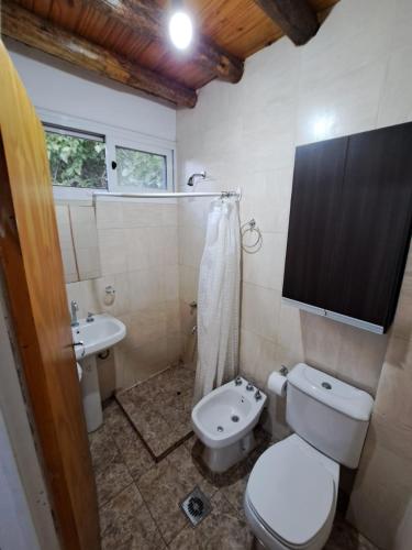a bathroom with a toilet and a sink at Departamento Bombal - Centro Mendoza in Godoy Cruz