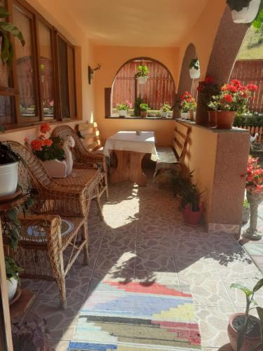 a patio with chairs and a table and plants at Casa ALINA ȘI ANDREEA in Arieşeni