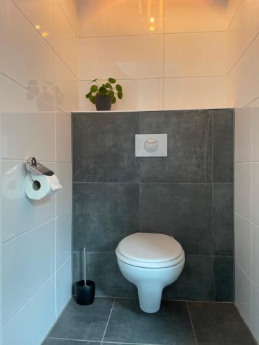 a bathroom with a toilet and a plant on the wall at Charmant, ontspannen Molenzicht in Ootmarsum