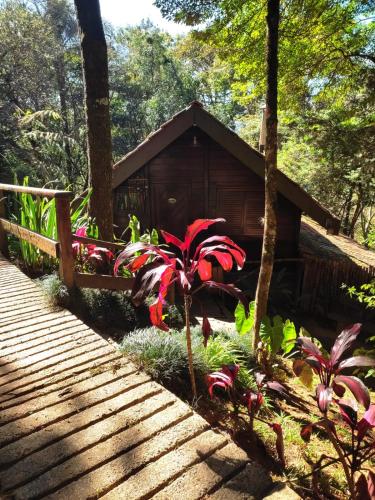 a wooden walkway leading to a cabin in the woods at Pássaro de Fogo in Santo Antônio do Pinhal