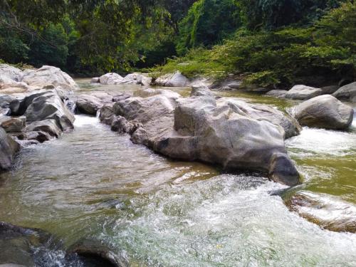 a stream of water with rocks in a river at Hostal Flor Tayrona in Santa Marta