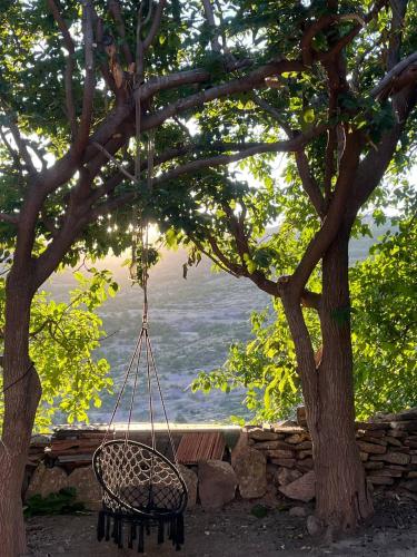  Old Byurakan Gouest House -  Room  picture :   Tea/Coffee maker    Shower    Hairdryer                           