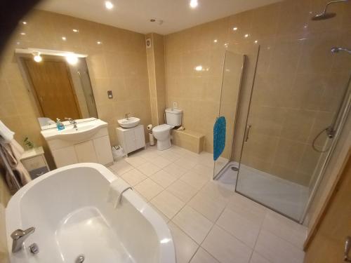 y baño con ducha, lavabo y aseo. en CELLAR COVE, en Perranporth