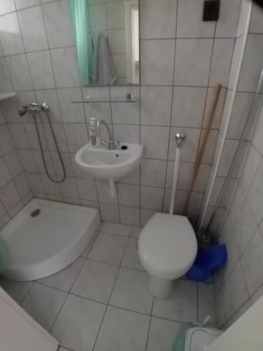 ザラカロシュにあるBodahegyi út Apartmanの白いバスルーム(トイレ、シンク付)