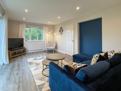 a living room with a blue couch and a tv at Surrey Hills Lodge in Ewhurst