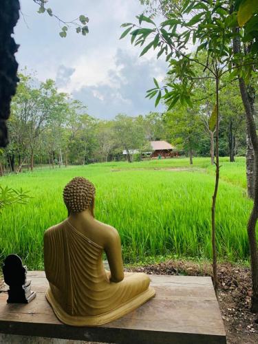 a statue of a woman sitting in front of a field at Sahana Retreat in Buttala