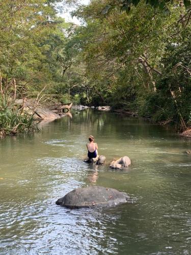 a woman in the water with two elephants in a river at Sahana Retreat in Buttala