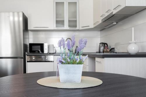 Apartment Feratjer