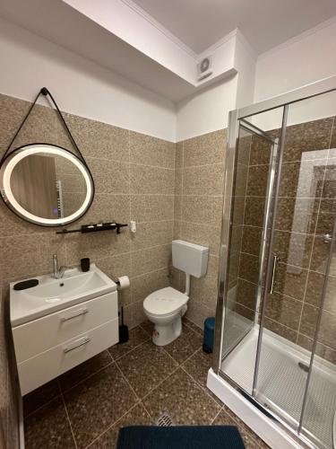 Ένα μπάνιο στο Agi’s Apartment Predeal
