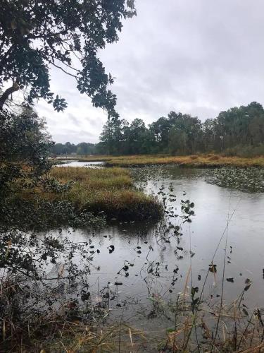 a large body of water with grass and trees at Eden Farm RV Minutes from Salisbury in Eden