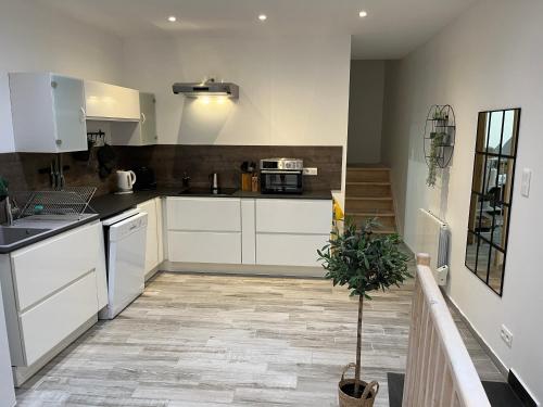 une cuisine avec des armoires blanches et une plante en pot dans l'établissement Historical Rue Longue, à Menton