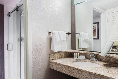 a bathroom with a sink and a mirror at Courtyard Sarasota Bradenton Airport in Sarasota