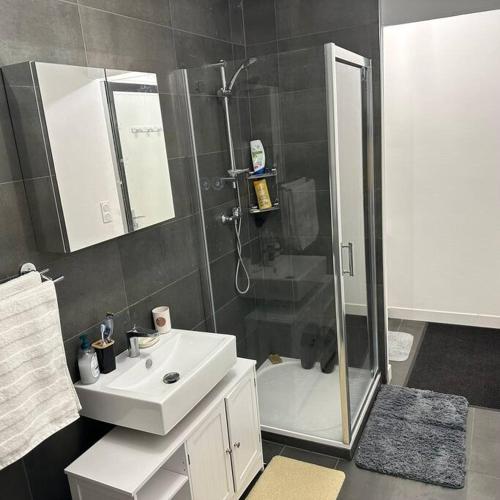 ein Bad mit einer Dusche, einem Waschbecken und einem WC in der Unterkunft A home away from home in Rennes