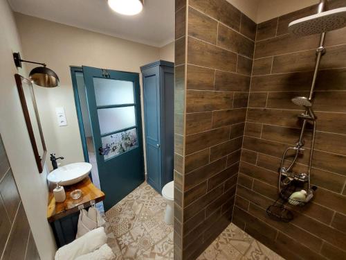 a bathroom with a shower with a sink and a toilet at Marókahegy in Zalakaros