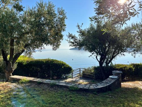 a garden with trees and a stone path next to the water at Villa Liana in Soúrpi