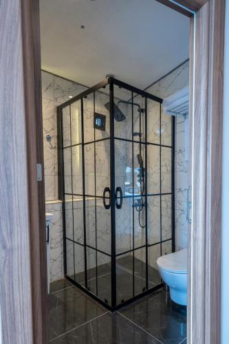 a bathroom with a shower with a toilet in it at Han Residence Haliç in Istanbul