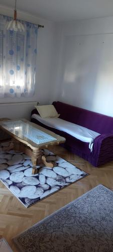 ein Wohnzimmer mit einem Couchtisch und einem Sofa in der Unterkunft D-apartmani in Bijeljina