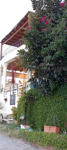 a building with a bunch of plants and flowers at Lentas Royal in Léntas
