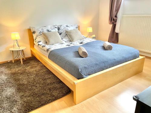 ein Bett mit zwei Kissen auf einem Zimmer in der Unterkunft Entspannte Souterrain Wohnung in Munster im Heidekreis