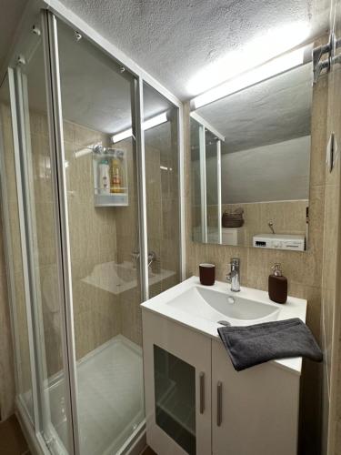 a bathroom with a sink and a shower at Málaga All-in in Málaga