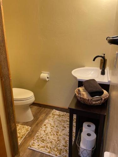 a bathroom with a toilet and a sink at ParkWay Yellowstone Guest House Apartment #3 in Gardiner
