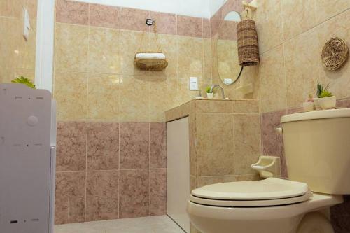 a bathroom with a toilet and a shower at Departamento amplio, privado y completo in Valladolid