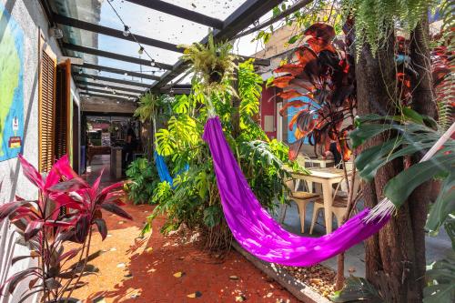 a purple hammock in a room with plants at Ô de Casa Hostel Bar in Sao Paulo