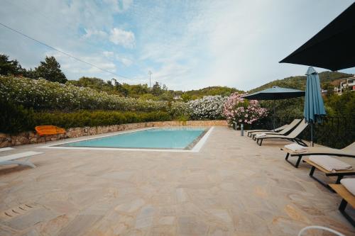 a swimming pool with chairs and umbrellas on a patio at Villa Alba Sul Mare in Budoni