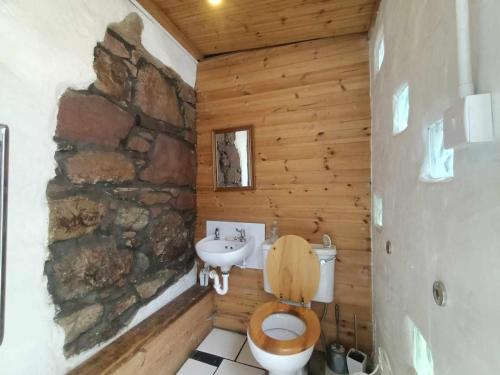 a wooden bathroom with a toilet and a sink at The Lucid Racon in Inverness