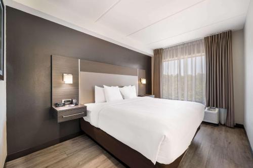 Comfort Suites Northlake Image
