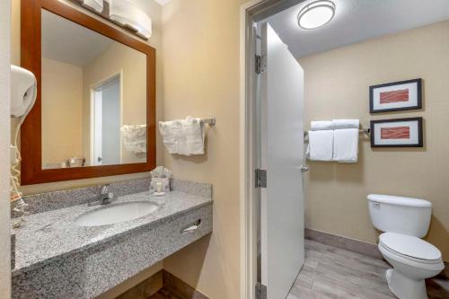 a bathroom with a sink and a toilet and a mirror at Comfort Inn & Suites Orem - Provo in Orem