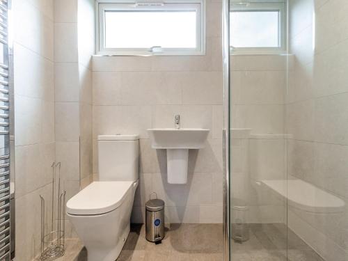 a bathroom with a toilet and a sink and a shower at Greenacres Cabin in Coleford