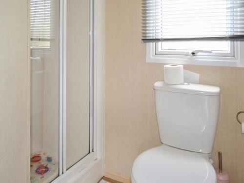 a white toilet in a bathroom with a shower at Riverview in Dogdyke