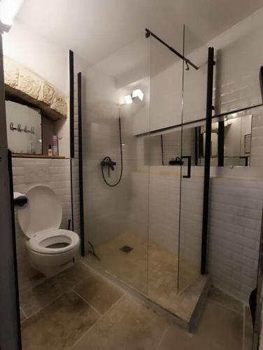 La salle de bains est pourvue de toilettes et d'une douche en verre. dans l'établissement Appartement avec jacuzzi, à Saint-Maximin-la-Sainte-Baume