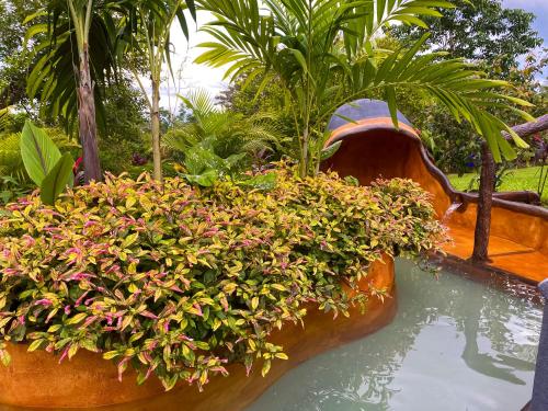 a pool of water with plants in a garden at Hotel Heliconias Nature Inn & Hot Springs in Fortuna