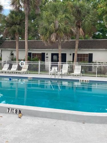 a large swimming pool with chairs and palm trees at Golf Coast Charmer in Bradenton