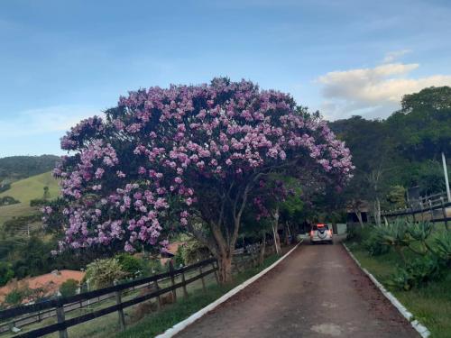 Imagem da galeria de Pousada NAIF em São Lourenço