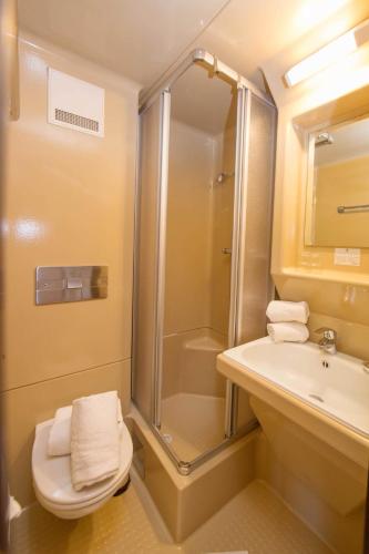 a bathroom with a shower and a toilet and a sink at Apartments Kitzsteinhorn in Zell am See