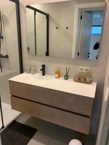 Herzele的住宿－Q Guesthouse，一间带水槽和镜子的浴室
